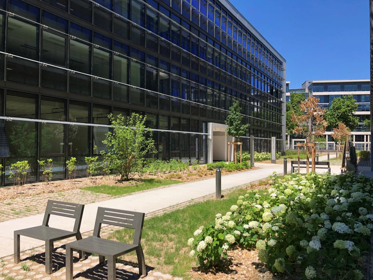 Bureau Lyon 509m² Location bureau Lyon Rhône OLBUR2528939 11